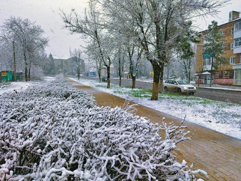 Ваз в новошахтинске