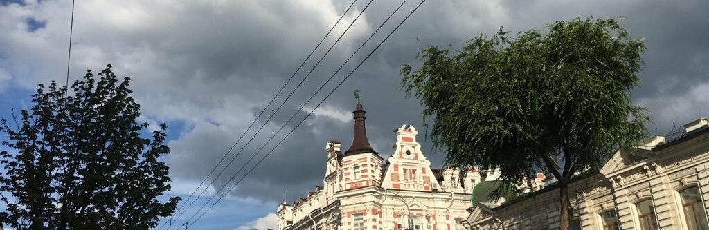 МЧС Ростовской области предупреждает о грозах и порывистом ветре вечером 14 августа