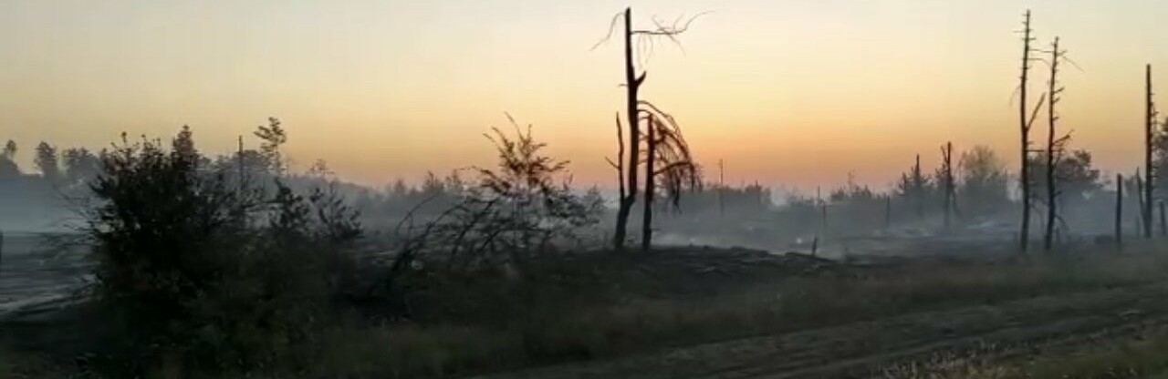 В Каменском районе потушили лес, выгорело 54 га