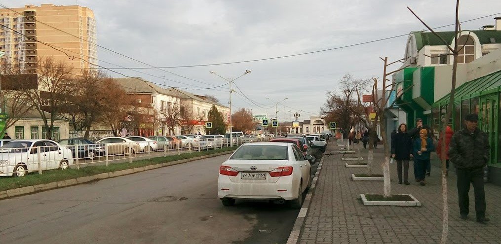 10 дней в батайске. Ростов на Дону фотографии улиц. 15 Декабря в Ростове фото города. Дон осьминог Батайск. Северная часть Ростова.