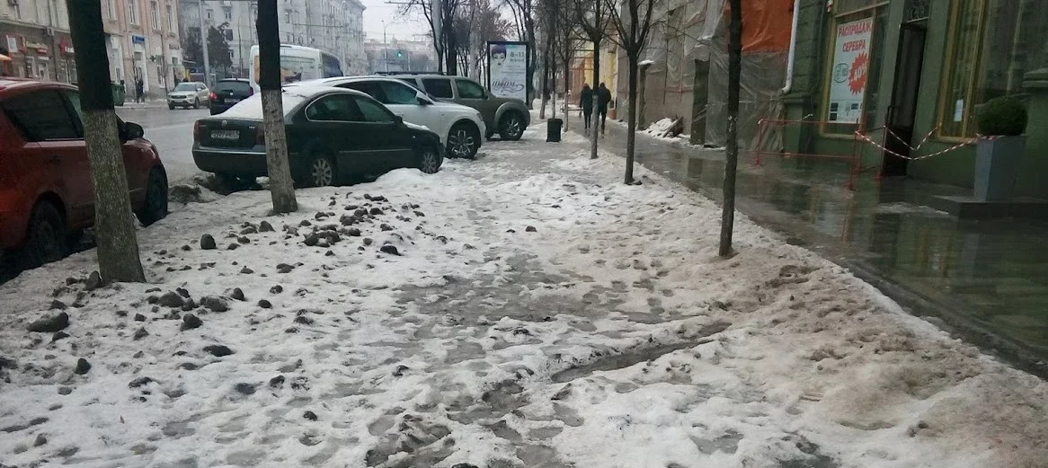 В центре Ростова для защиты растений ограничат применение пескосоляной смеси против гололёда