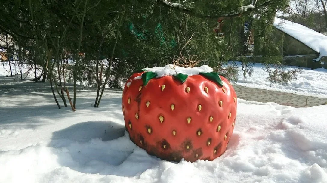 Весна в Ростове начнётся с резкого похолодания