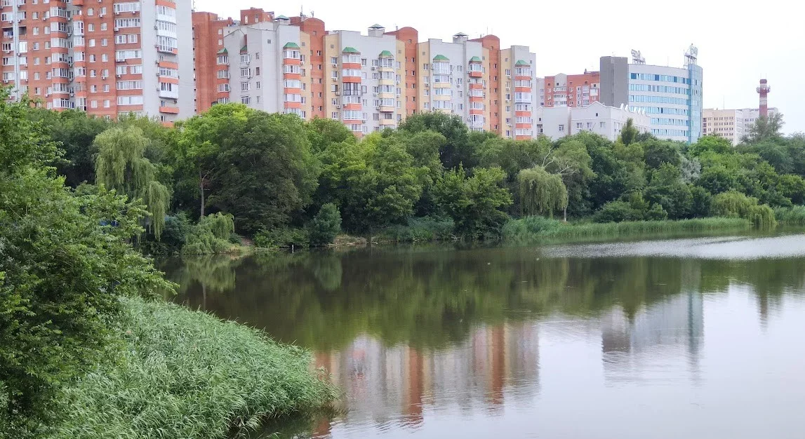 В водоёмах Ростова нашли похожие на холеру бактерии