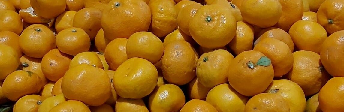 На Северном рынке Ростова повысился спрос на цитрусовые, ягоды и экзотические фрукты