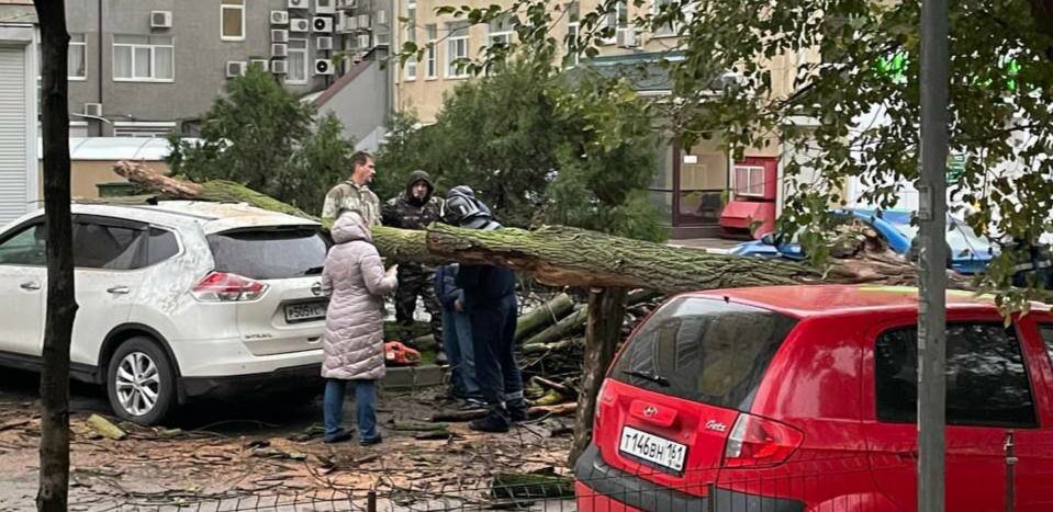 В центре Ростова сухое дерево упало на три автомобиля