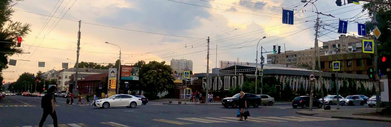 Новый удар от амброзии, запрет на «короеда», рост средней зарплаты: итоги недели в Ростове