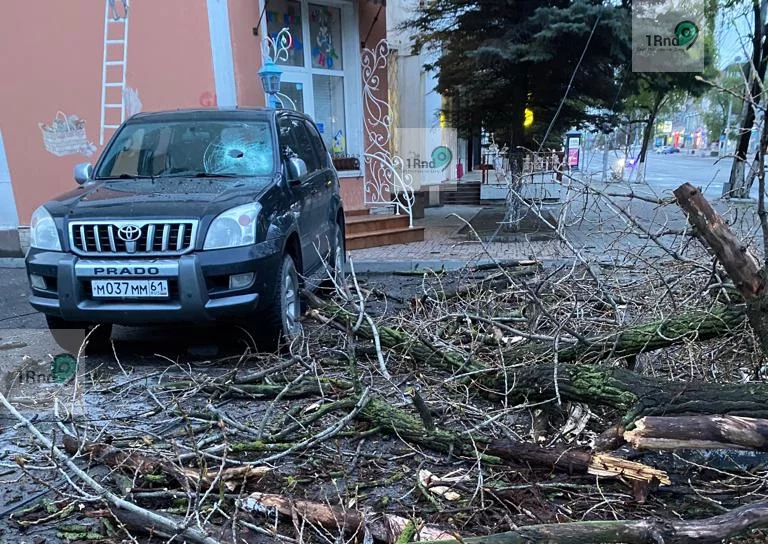 В центре Ростова огромное дерево рухнуло на иномарку и проломило лобовое стекло