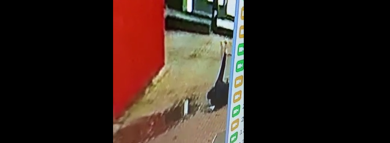 В Ростове началась проверка по факту смерти мужчины после доставки в отдел полиции