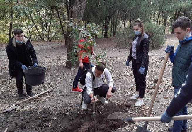 Посадка деревьев в Ботаническом саду Ростова