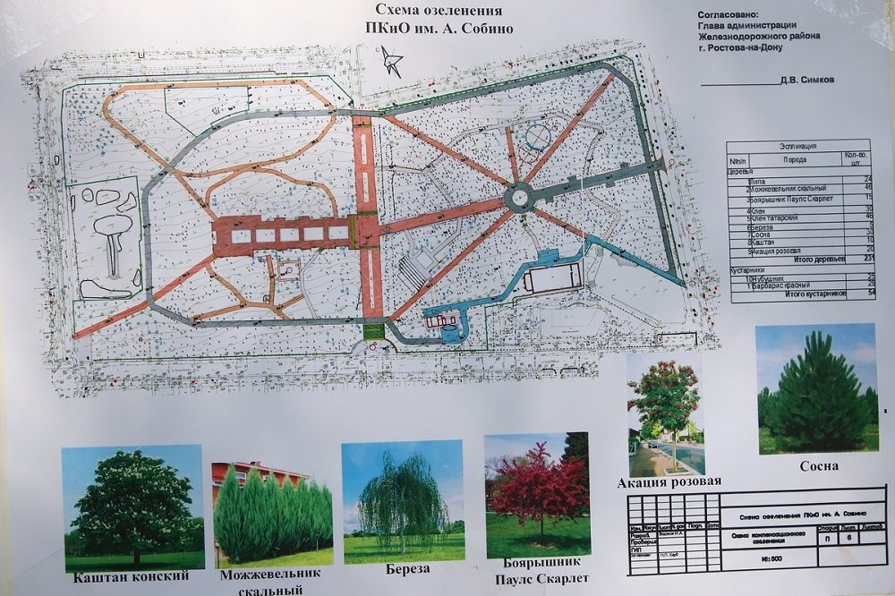 Проект парка Собино, лето 2020 года