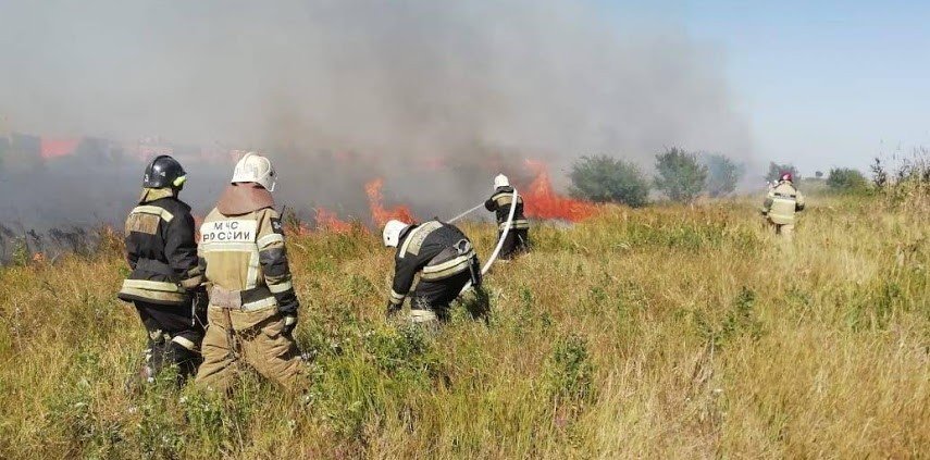 Лесные пожары в Ростовской области в начале сентября