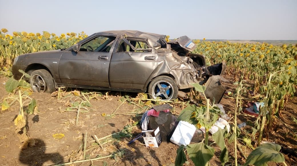 В Ростовской области из-за уснувшего водителя в ДТП пострадали две девочки