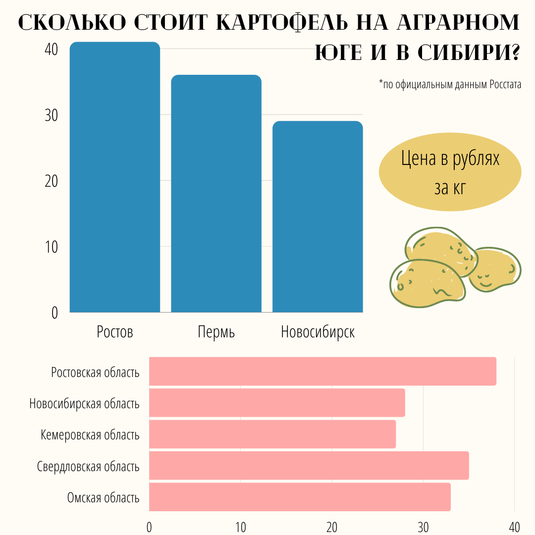 инфографика 1rnd