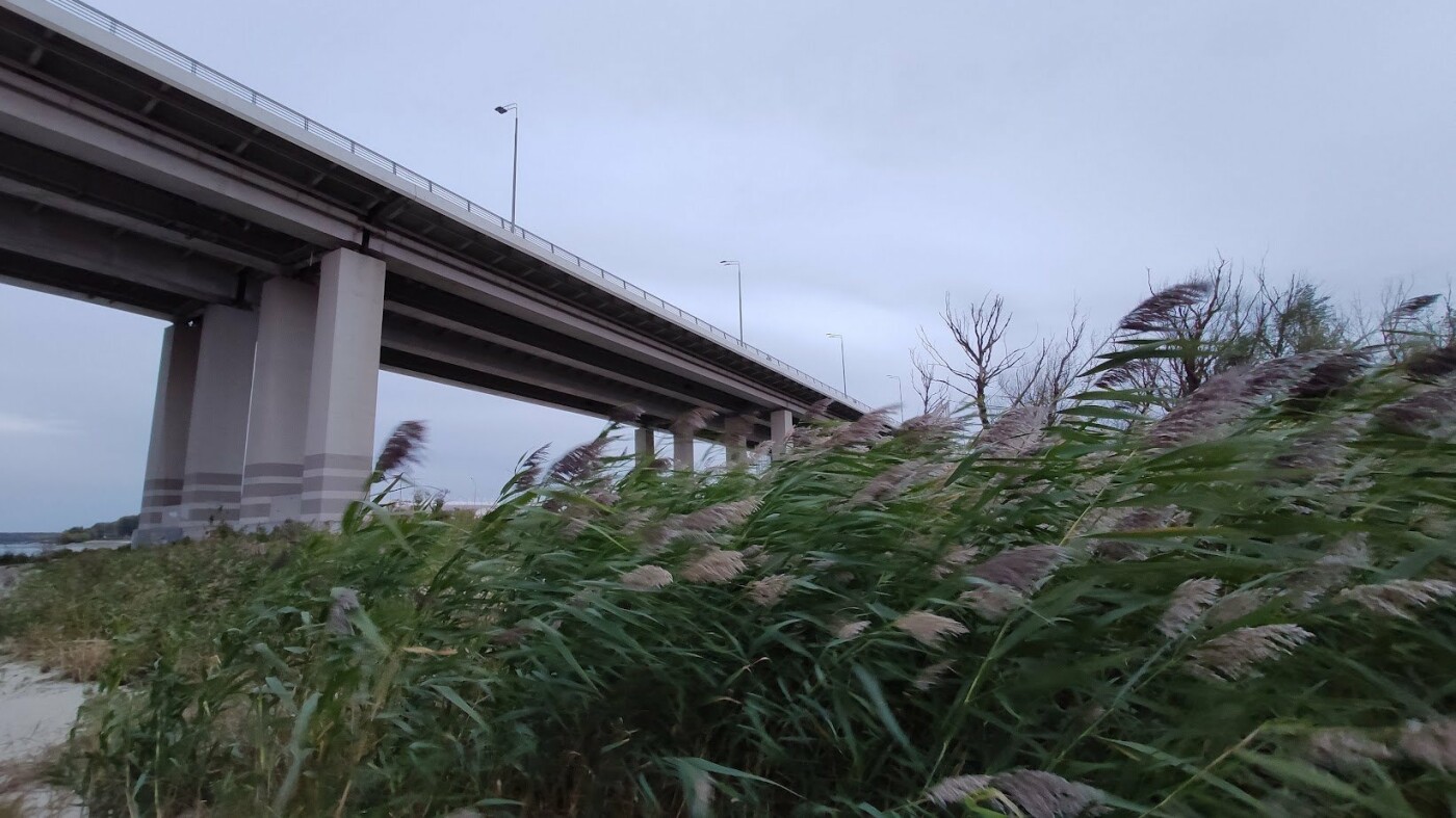 Возле Ворошиловского моста могут вырасти высотки - офисные и жилые