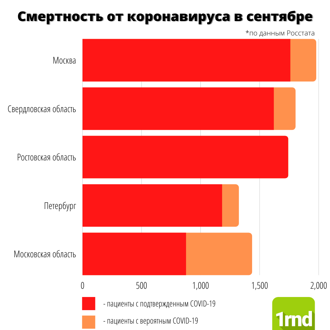 инфографика 1rnd