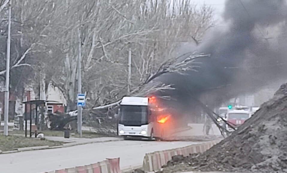 В Таганроге из-за упавшего дерева загорелся автобус с пассажирами 