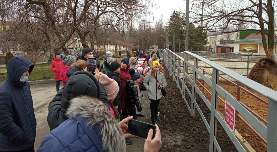 Дети из ДНР и ЛНР гуляют по зоопарку // фото: 1Rnd
