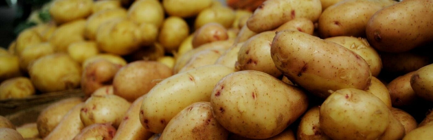 Картофель нового урожая за короткое время подешевел до 30-40 рублей за кило