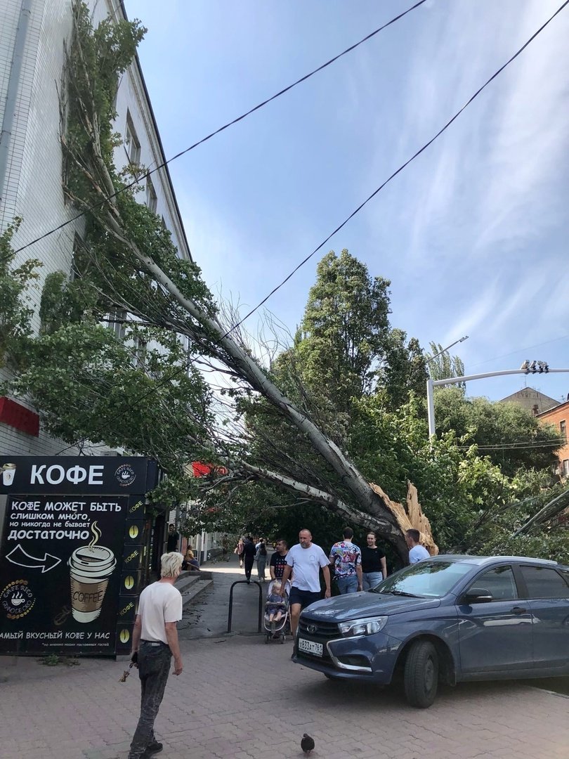 Упавшее дерево на Мечникова в Ростове