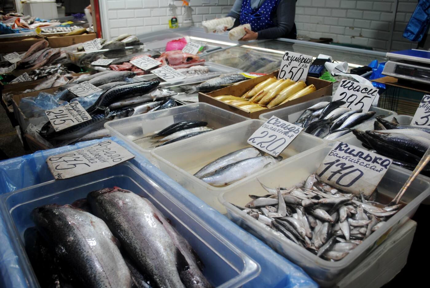 Рыбный прилавок на Северном рынке