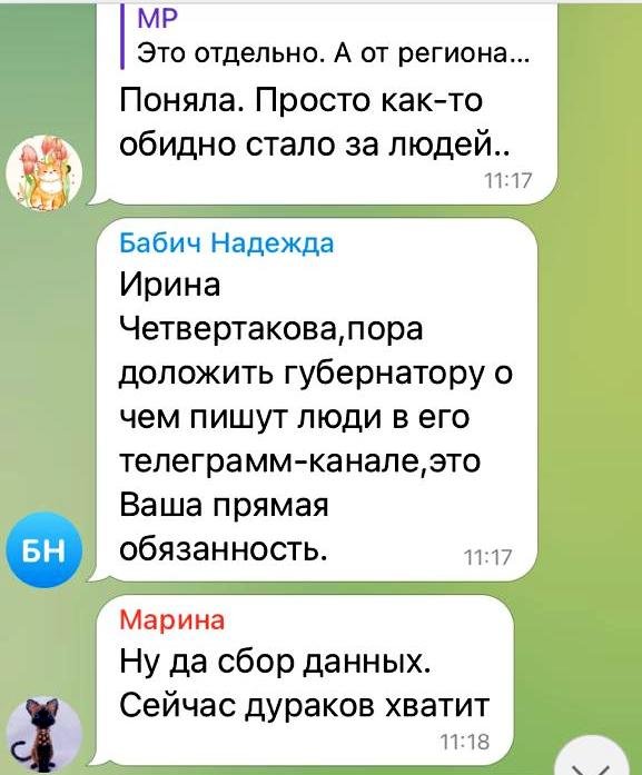 Комментарии под публикацией губернатора Ростовской области в его  Telegram-канале 28 сентября 2022 года