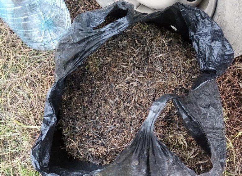 Более килограмма марихуаны нашли транспортные полицейские у жителя Волгодонска