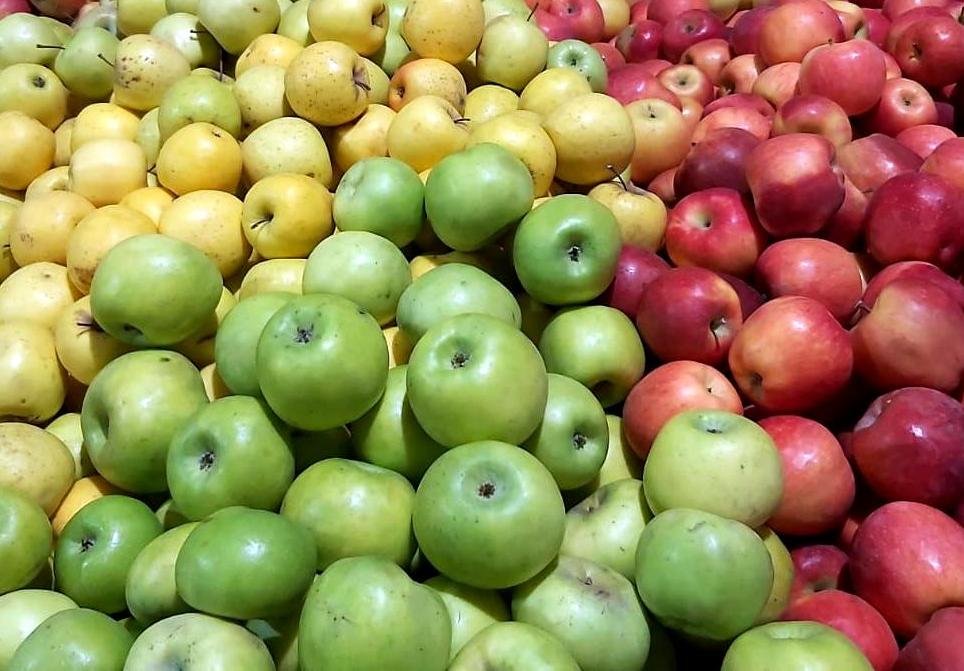 Яблок на Северном рынке великое множества, но и айва есть тоже