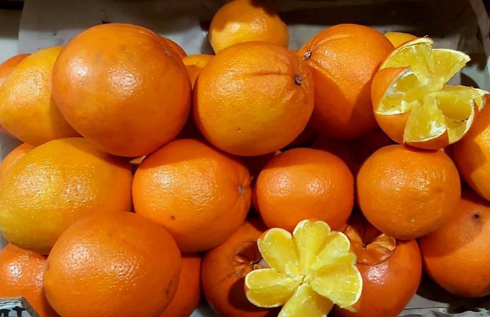 Тонкокорые апельсины