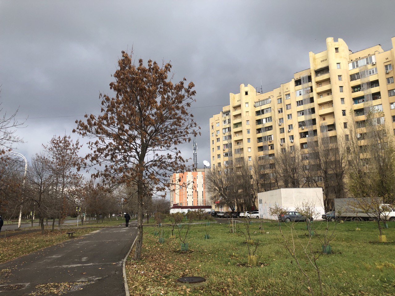 Из Ростовской области в топ городов РФ с самым чистым воздухом попал только Волгодонск