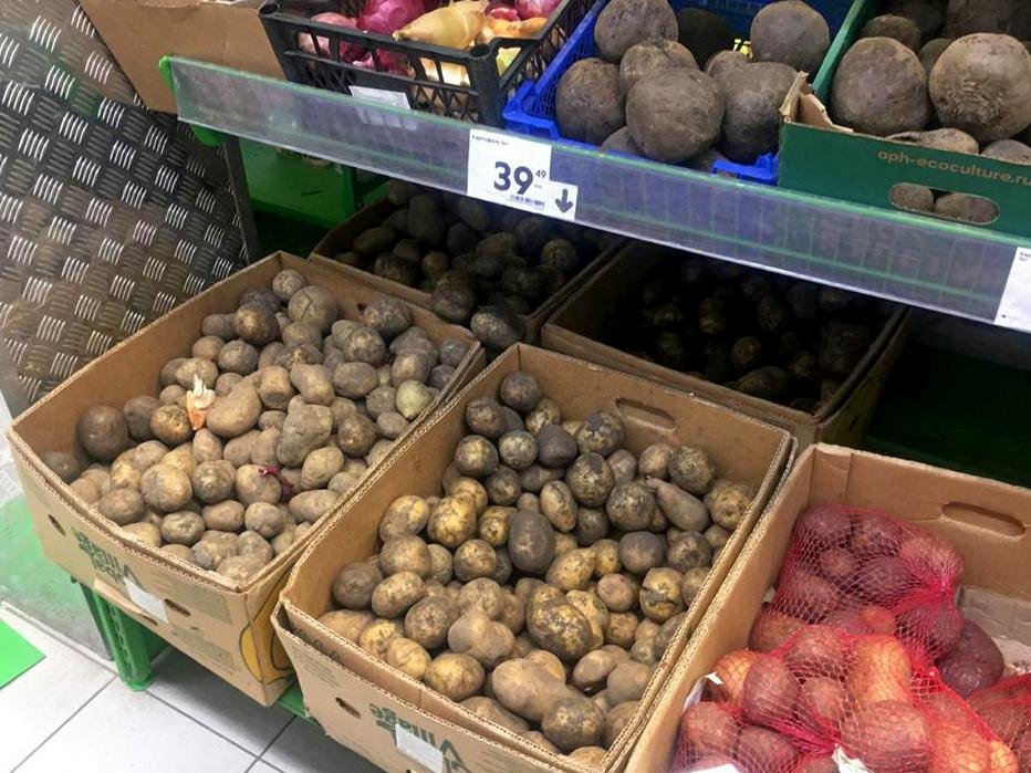Овощи в магазинах: вялые огурцы, картошка по 39,49 рублей, гладкие огурцы, проросший редис