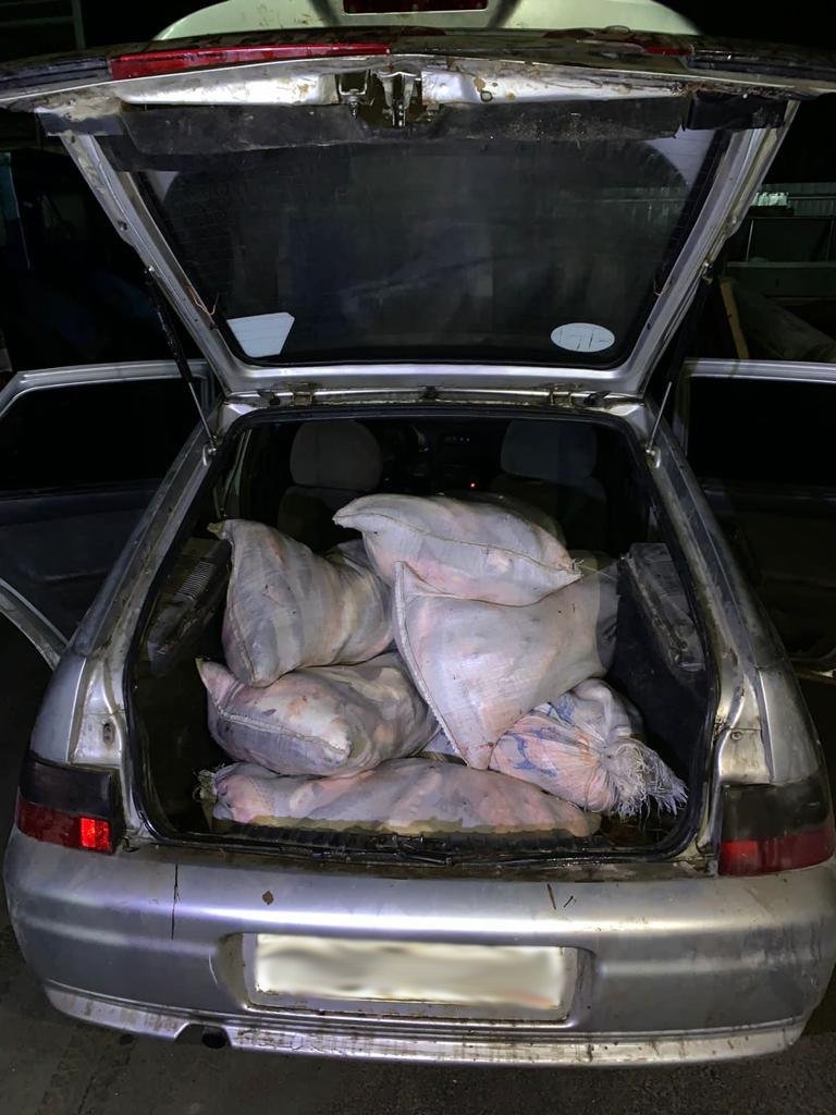 Донские пограничники задержали фотографа дикой природы с полным багажником пиленгаса