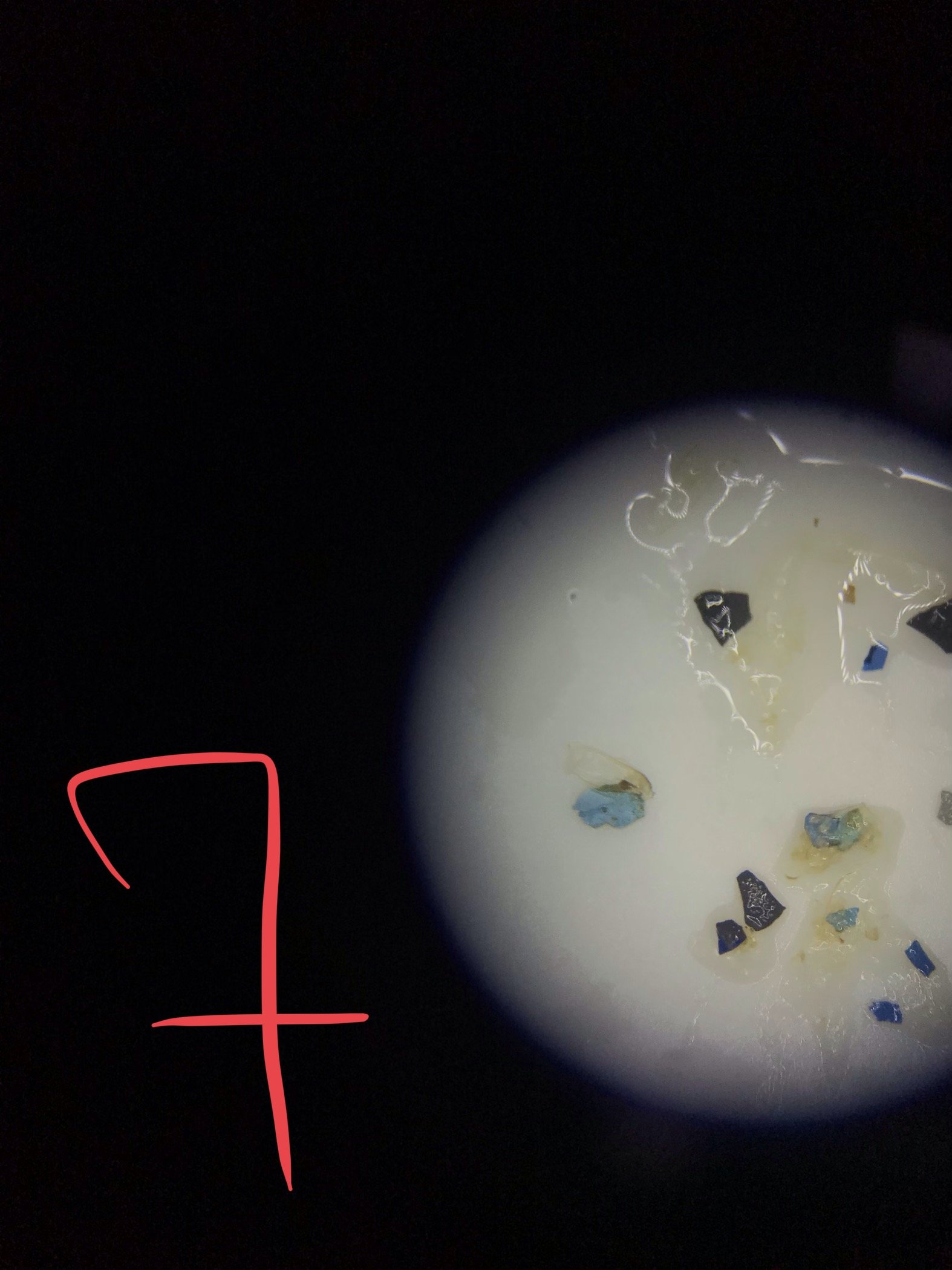 Микропластик под микроскопом